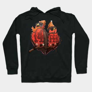 Birds of love Hoodie